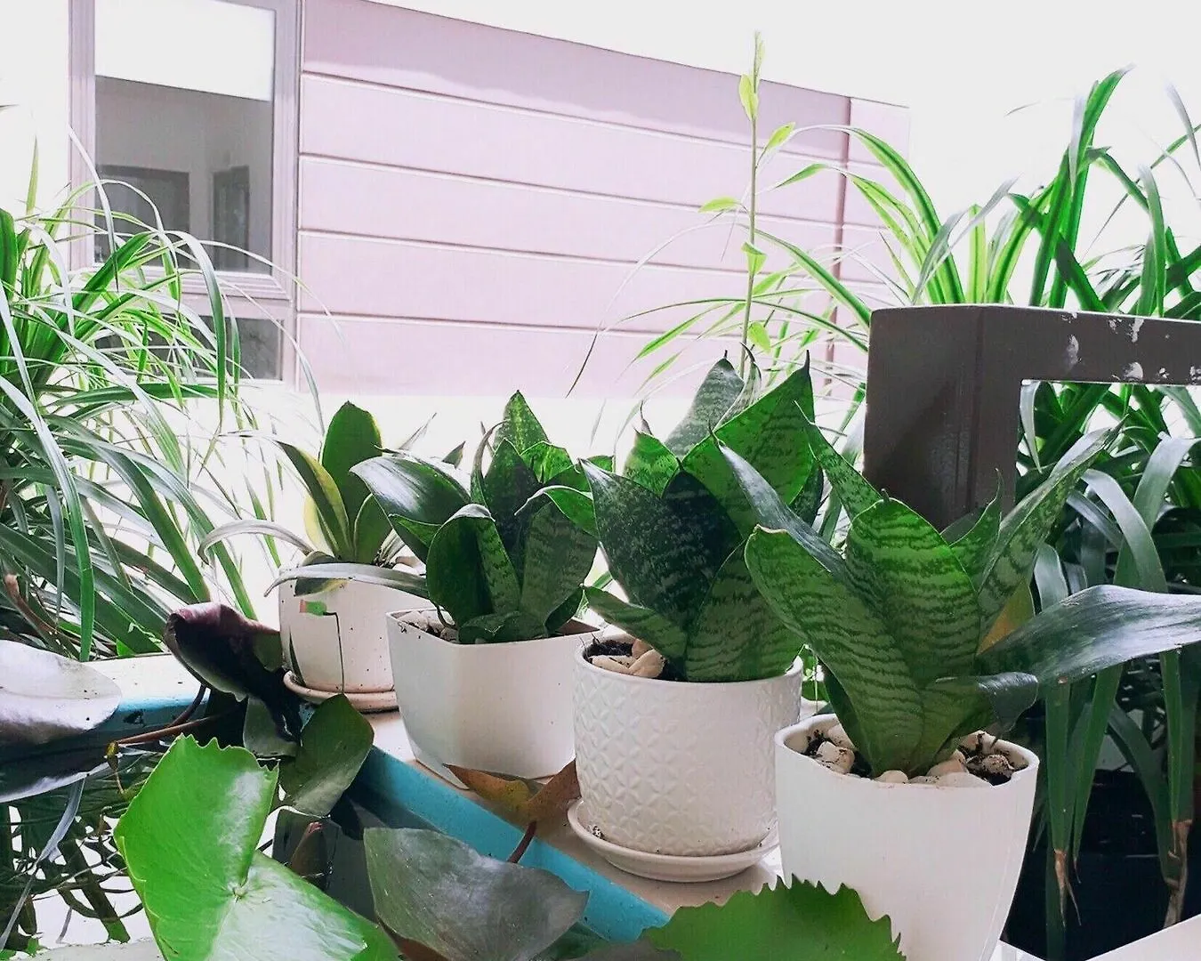 Ruby House Hotel And Apartment Da Nang